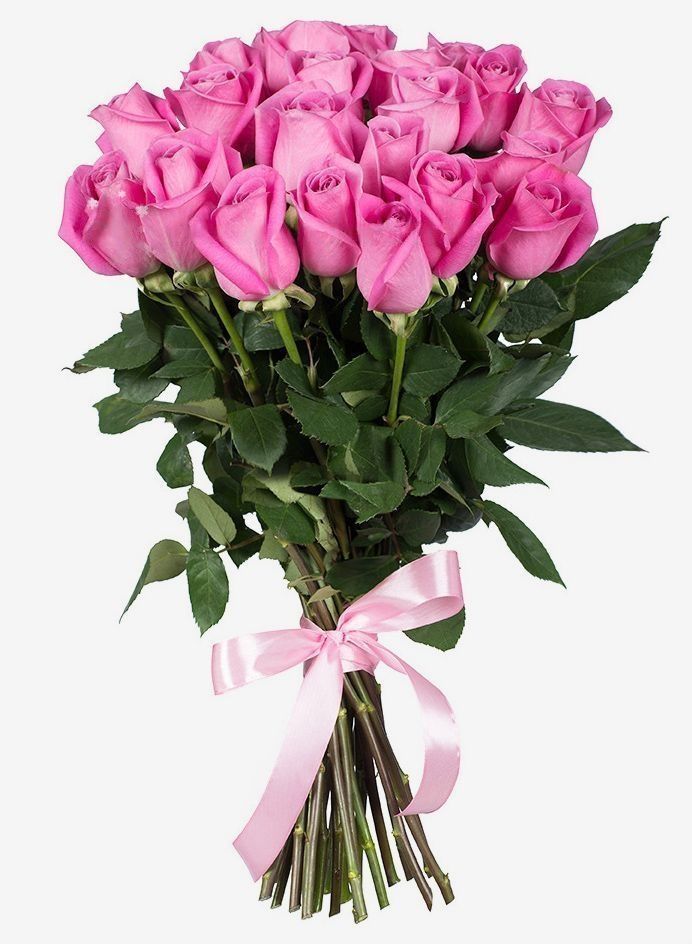 25 Roze Rozen