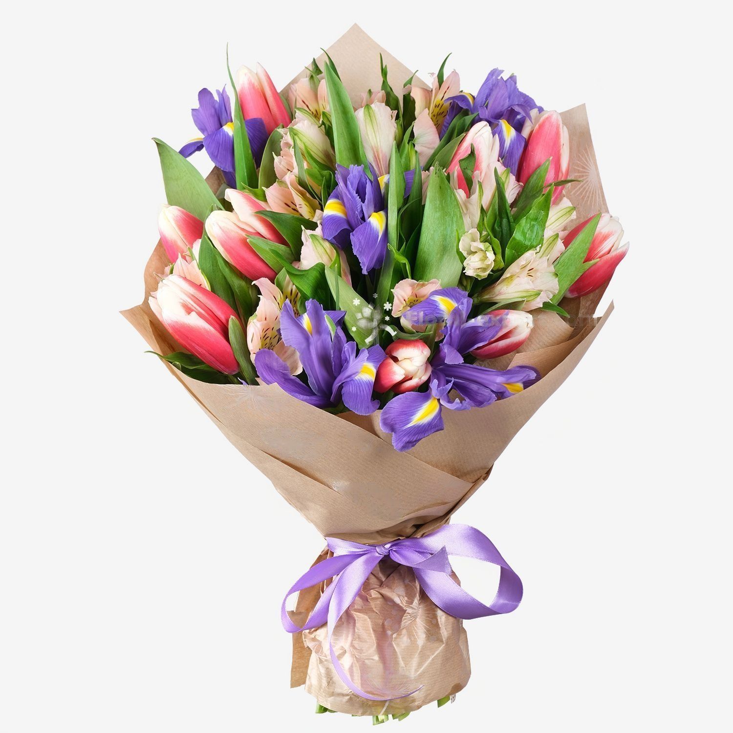 Magie van Tulpen