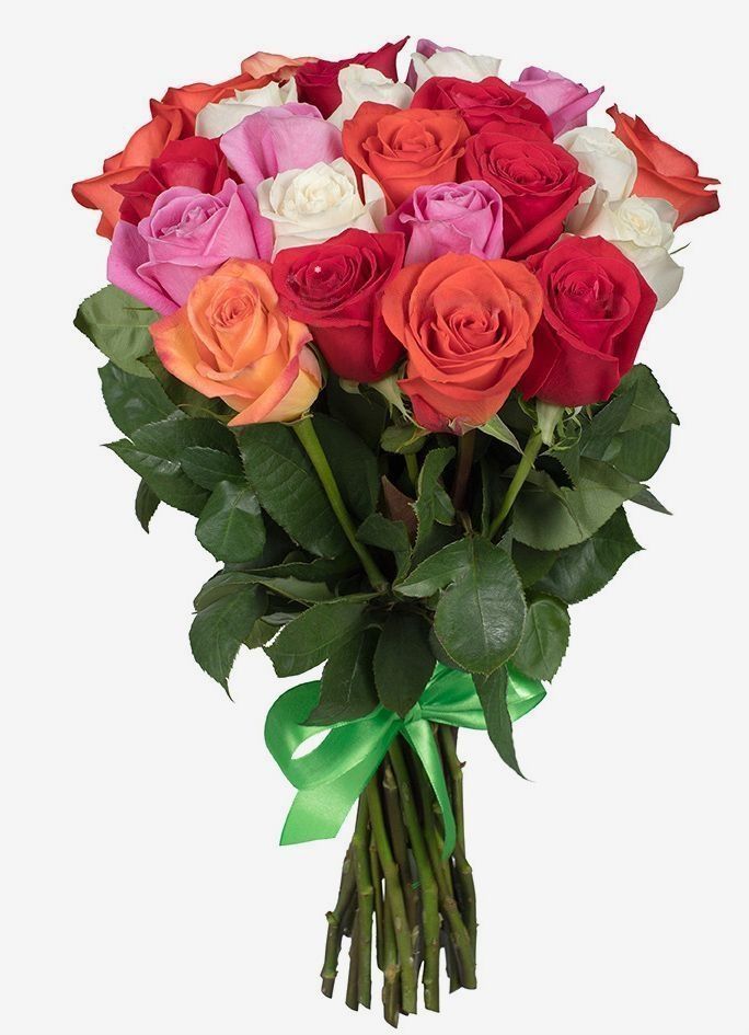 25 Regenboog Rozen
