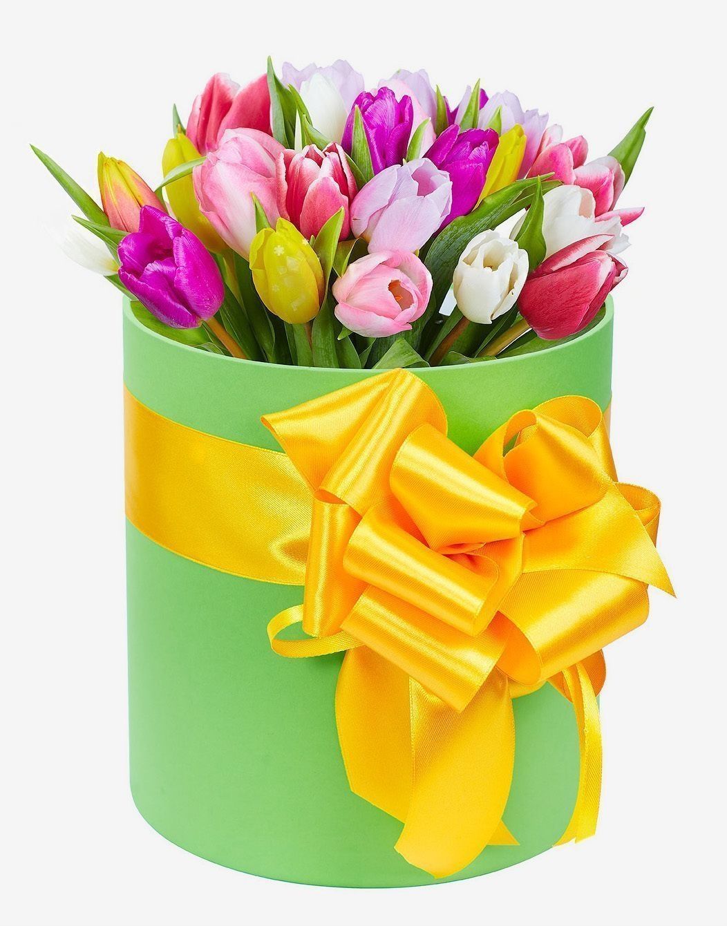 Doos met Tulpen
