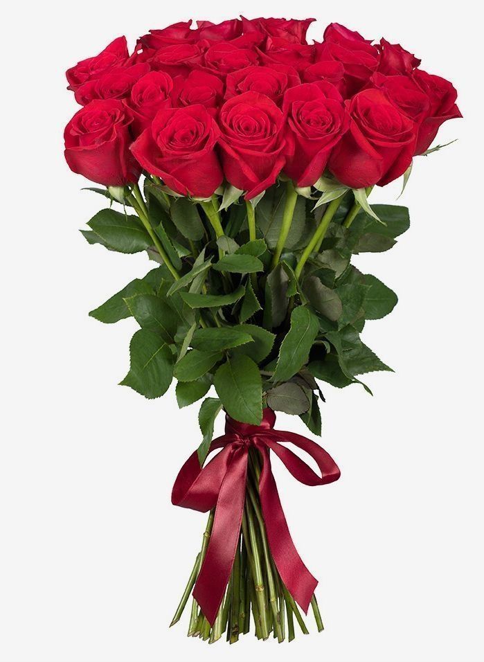 25 Rode Rozen