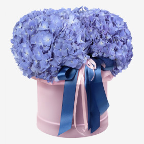 Hortensia Doos