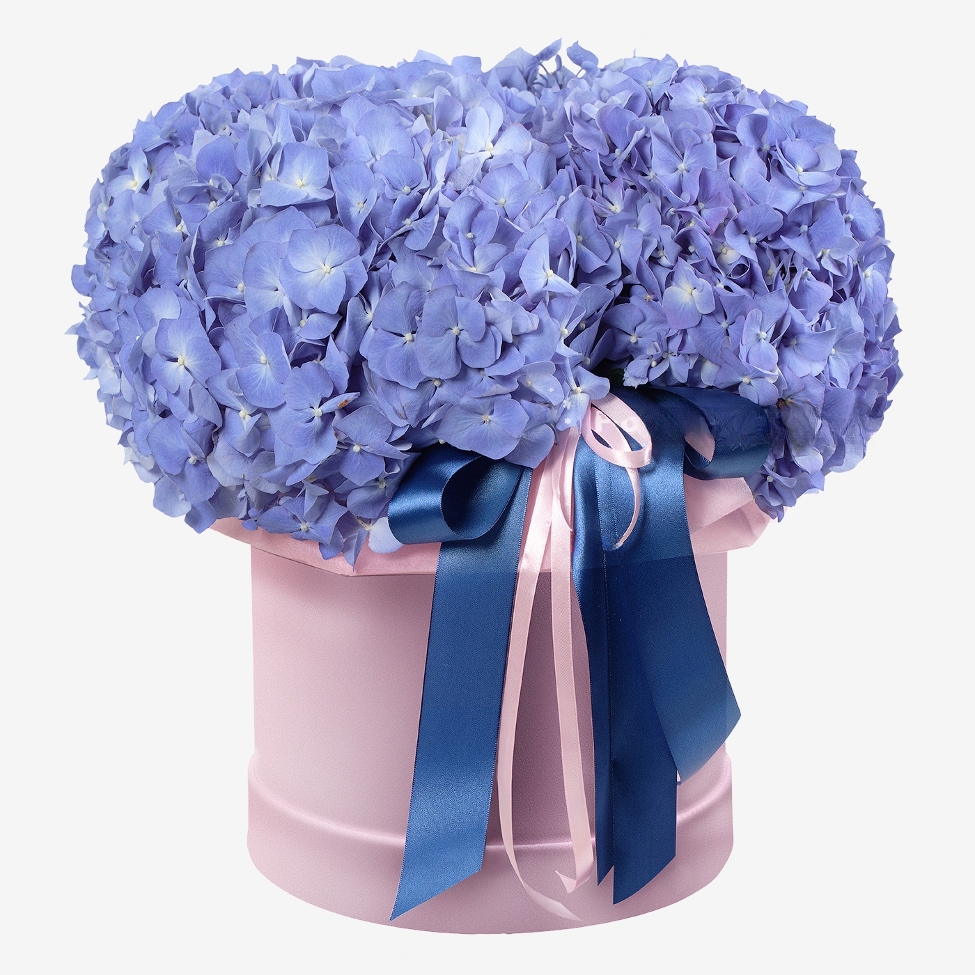 Hortensia Doos