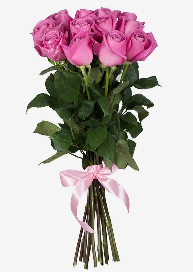 11 Roze Rozen