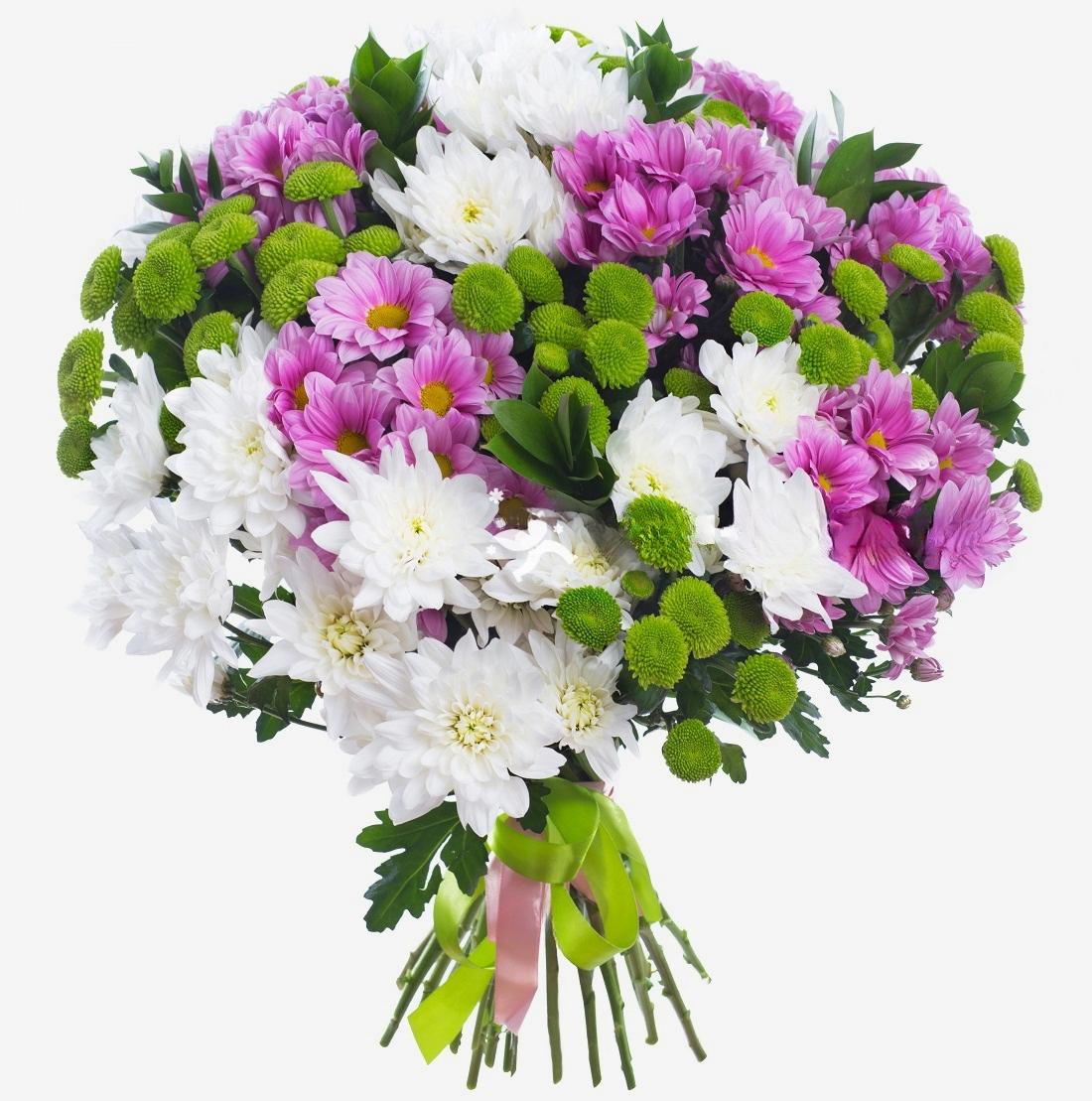 25 Chrysanten