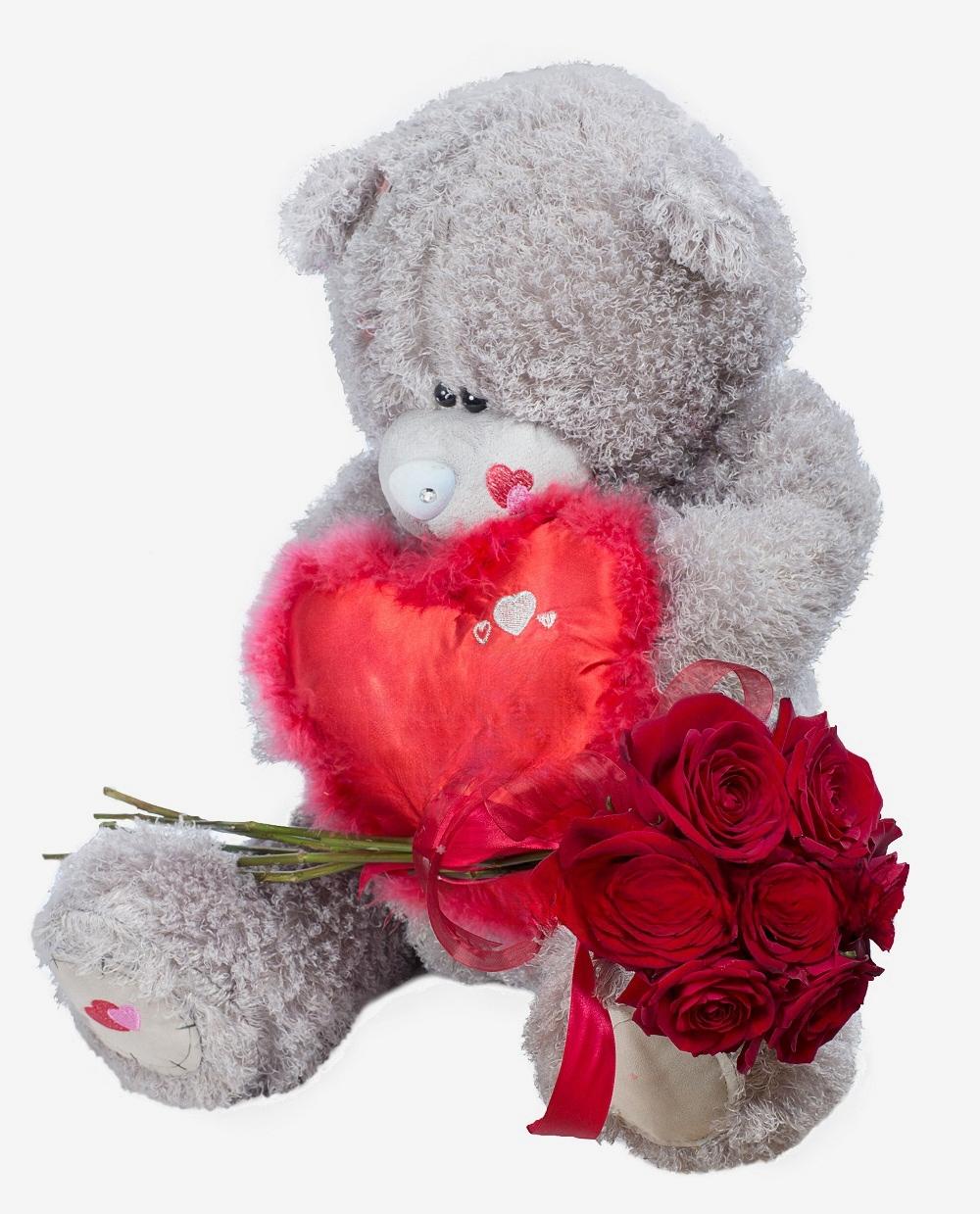 Vrolijke Teddybeer