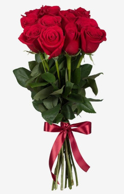 11 Rode Rozen