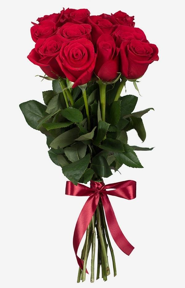11 Rode Rozen