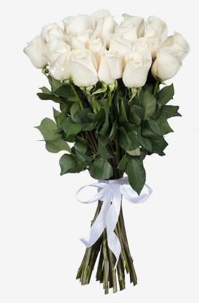 Witte Rozen