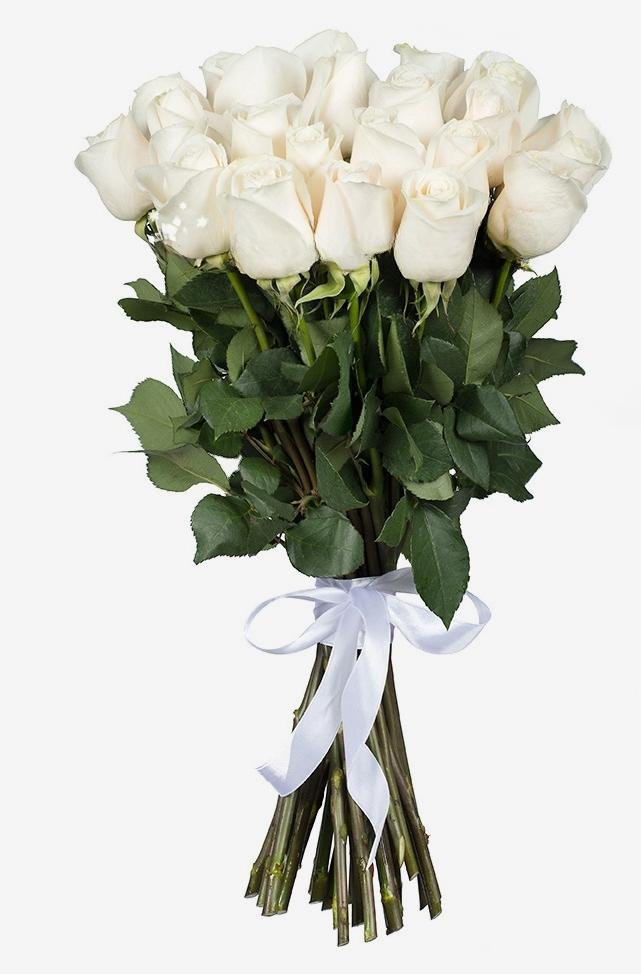 Witte Rozen