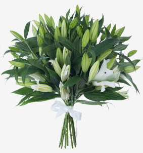 Boeket van 17 Lelies