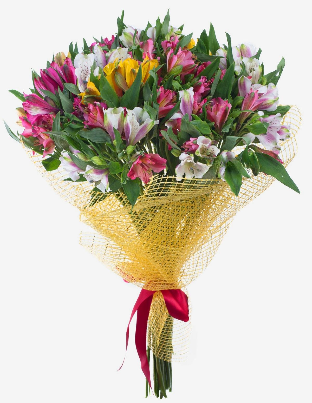 25 Alstroemeria&#039;s