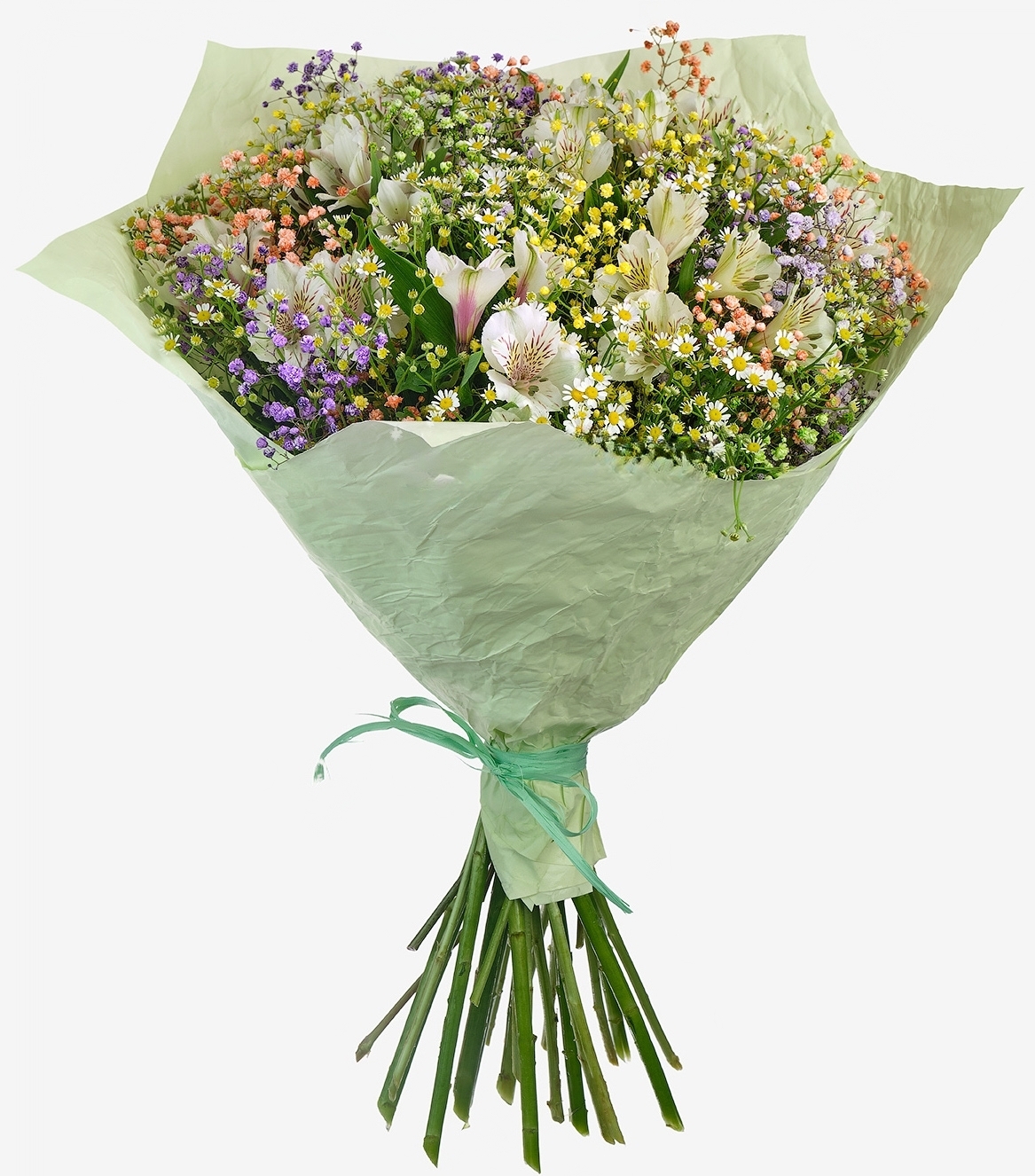 Bloemenregenboog