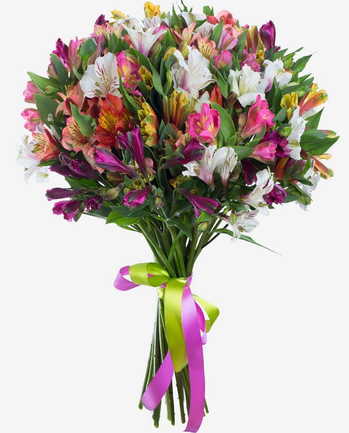35 Alstroemeria&#039;s