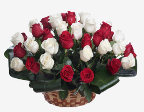 Panier de roses rouges et blanches