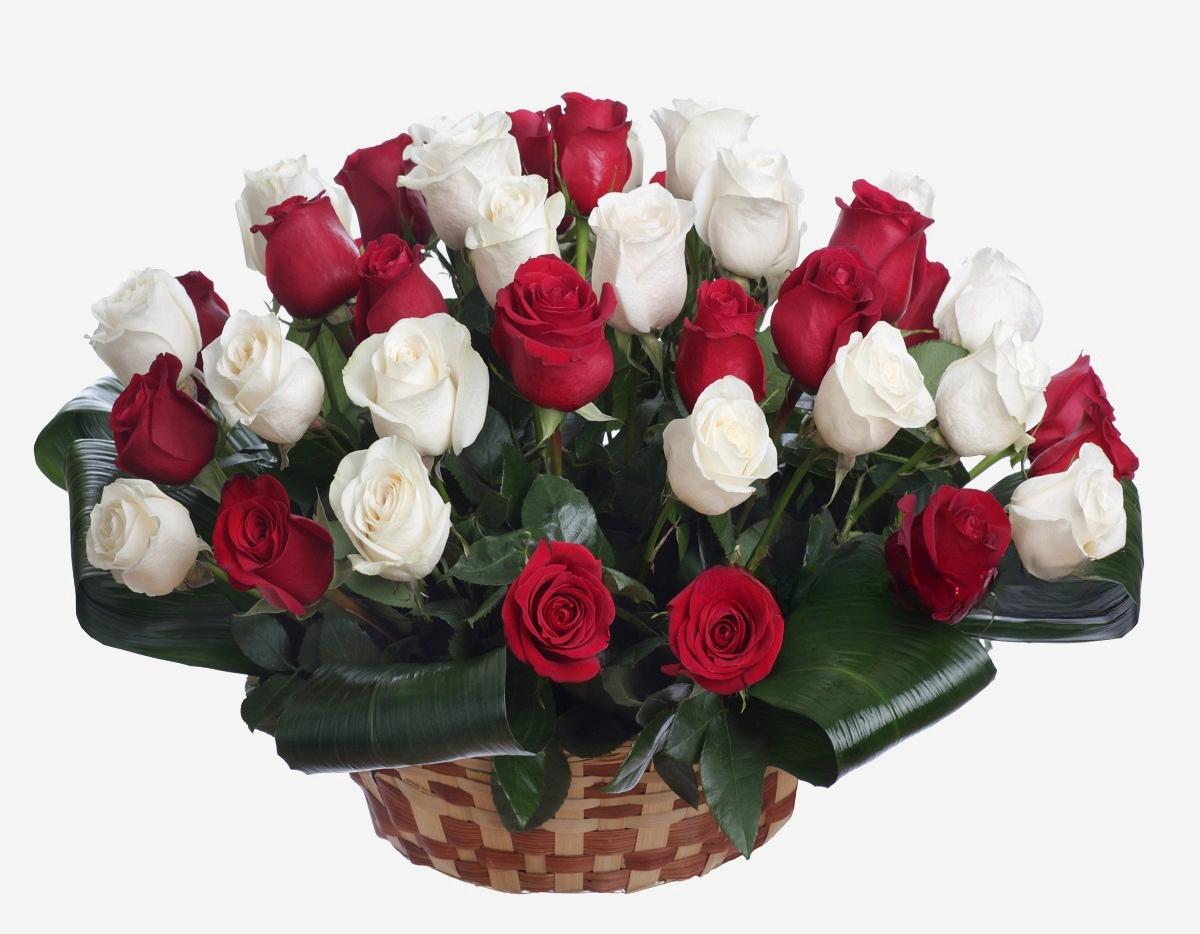 Rood en Witte Rozen Boeket