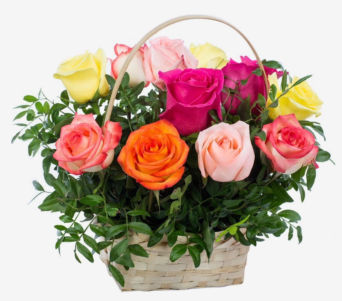 Regenboog Rozen Mand