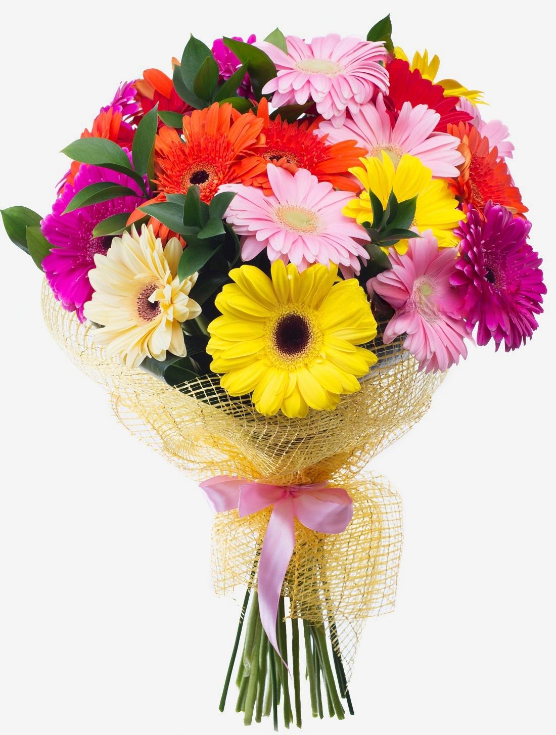 25 Gerbera&#039;s