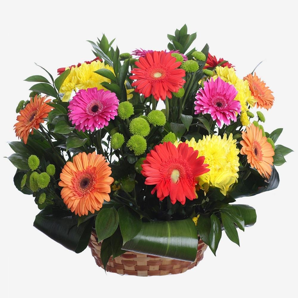 Boeket met Gerbera&#039;s