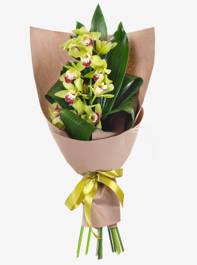 Orchidée de charme