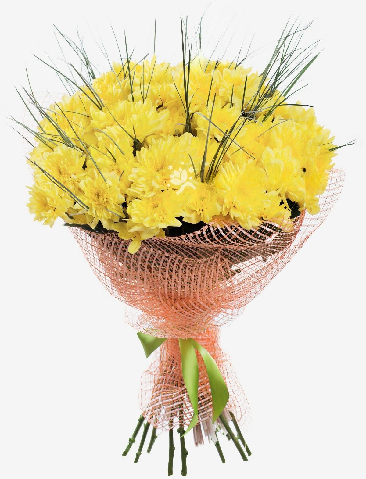 12 Gele Chrysanten