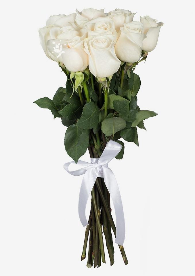 11 Witte Rozen